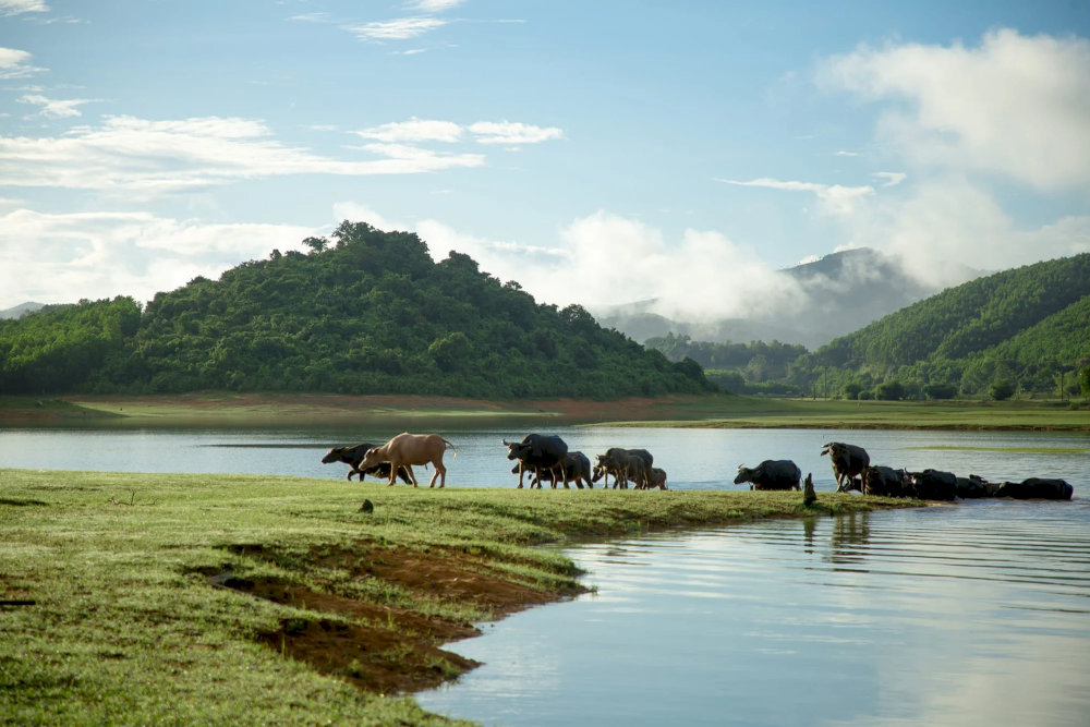 Dòng nước ở đây hoàn toàn trong sạch